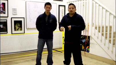 Wing Chun Master Class screenshot 2