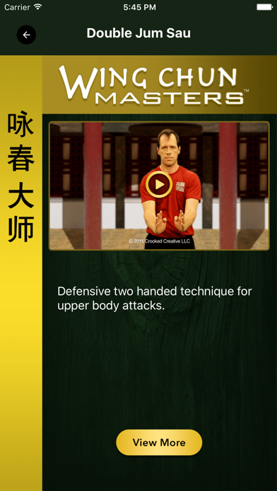 Wing Chun Masters 2 - HD screenshot 3