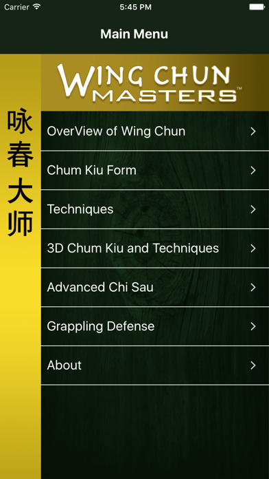 Wing Chun Masters 2 - HD screenshot 5