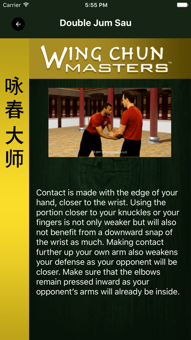 Wing Chun Masters 2 - HD screenshot 4