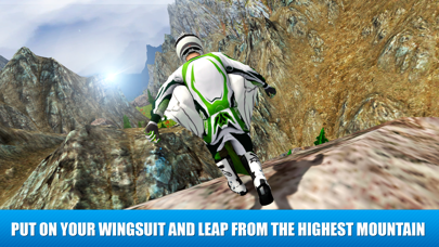 Wingsuit Sky Dive 3D screenshot 4