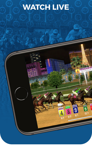 Winner's Circle screenshot 3