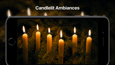Winter Fireplace screenshot 2