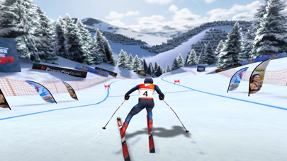 Winter Sports Mania screenshot 3