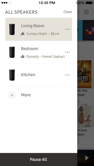 Wireless Audio : Multiroom screenshot 2