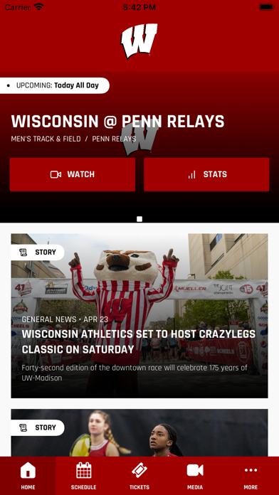 Wisconsin Badgers screenshot 4