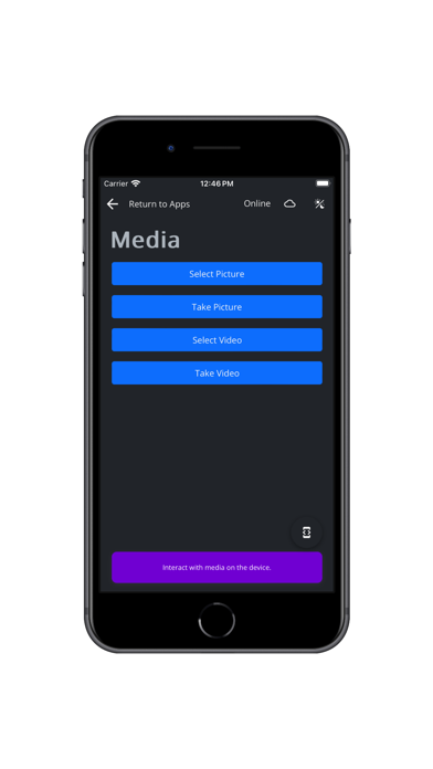 Wisej.NET Hybrid screenshot 1