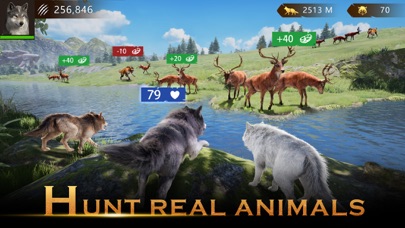 Wolf Game: Wild Animal Wars screenshot 4