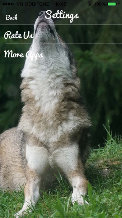 Wolf Sounds - Gray wolf Sounds screenshot 1