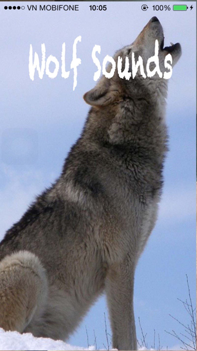 Wolf Sounds - Gray wolf Sounds screenshot 4