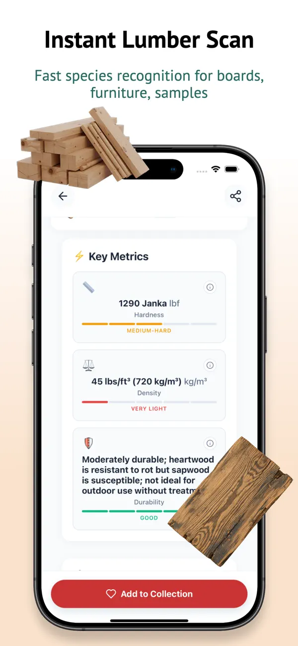 Wood Identifier & Lumber Scan screenshot 5