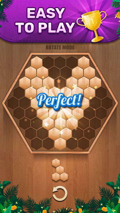 Wooden 100 Block Puzzle Game screenshot 1