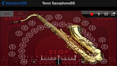 Woodwind instrumentSS IA screenshot 5