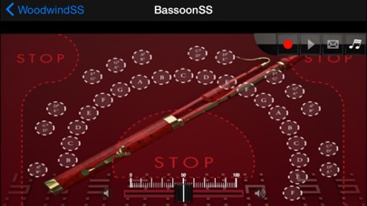 Woodwind instrumentSS IA screenshot 1