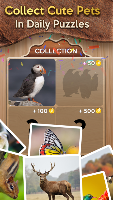 Woody Cross: Word Connect Game screenshot 2