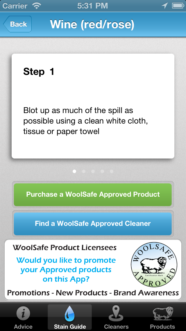 WoolSafe Carpet Stain Removal screenshot 3
