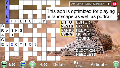 Word Fit Puzzle screenshot 2