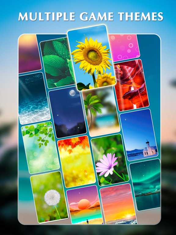 Word Sweeper-Search Puzzle screenshot 5