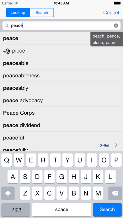 WordWeb Dictionary screenshot 2