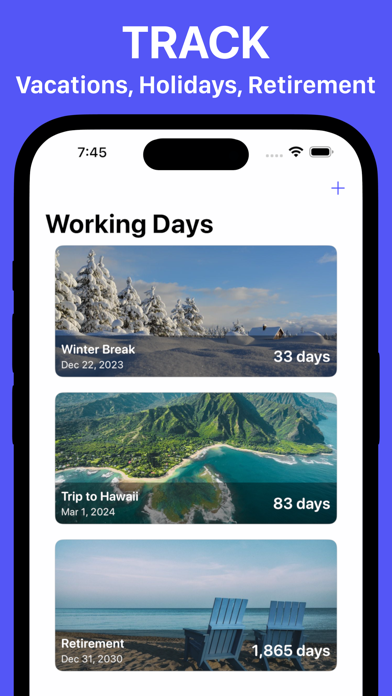 Working Days Counter & Widget screenshot 3