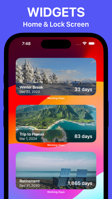 Working Days Counter & Widget screenshot 1