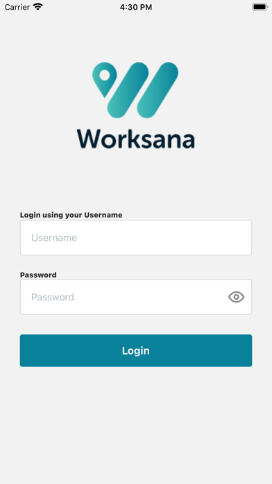 Worksana screenshot 5
