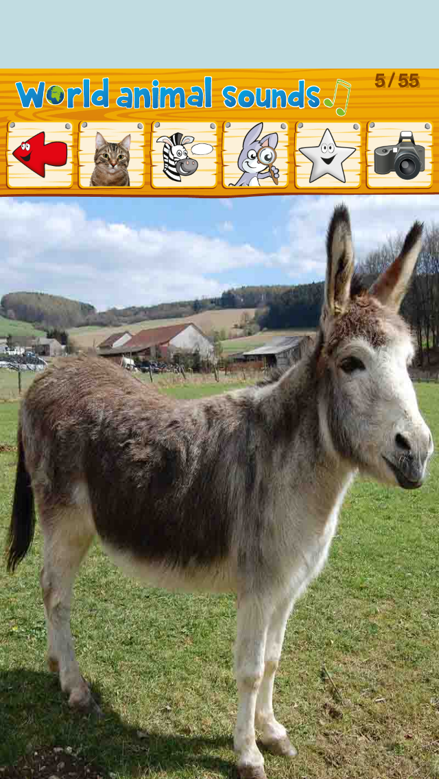 World Animal Sounds screenshot 4
