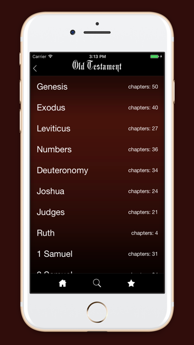 World English Bible: WEB screenshot 4
