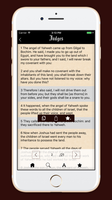World English Bible: WEB screenshot 3