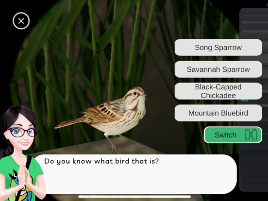 World of Wings screenshot 1