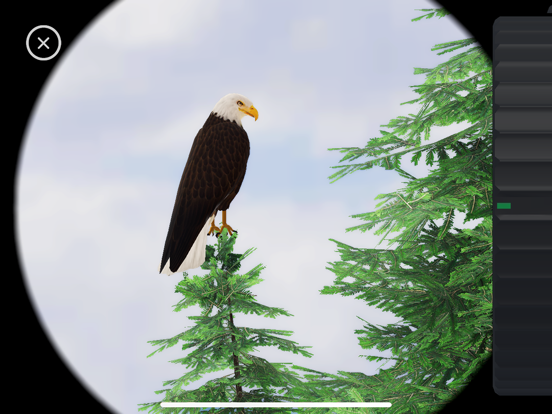 World of Wings screenshot 10