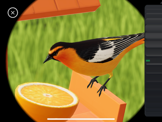 World of Wings screenshot 4