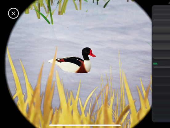 World of Wings screenshot 2