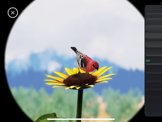 World of Wings screenshot 9