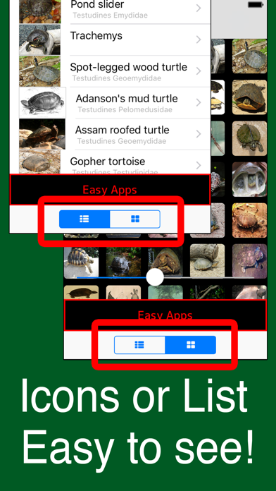 World Turtles! screenshot 3