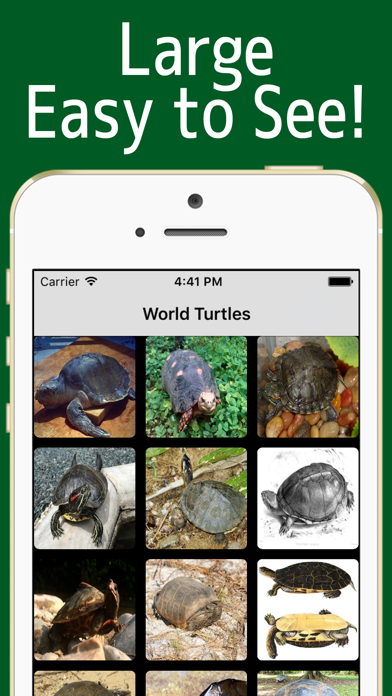 World Turtles! screenshot 4