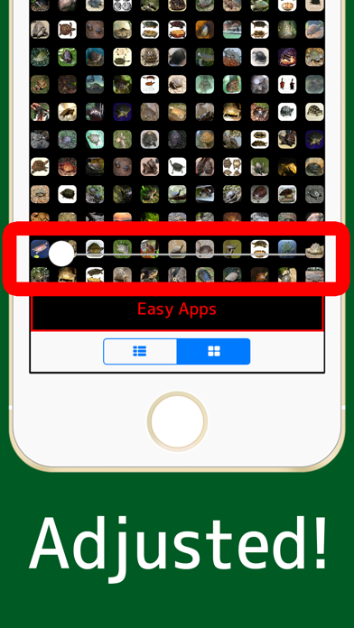 World Turtles! screenshot 2