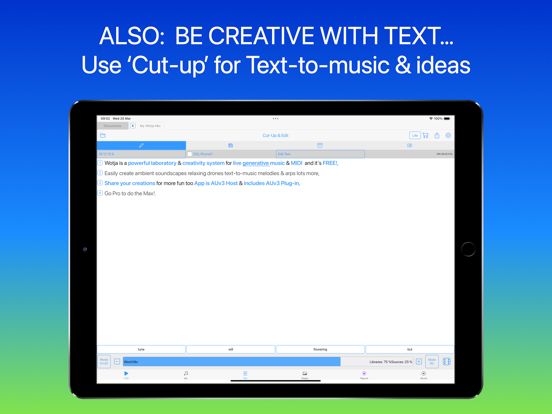 Wotja: Live Generative Music screenshot 4