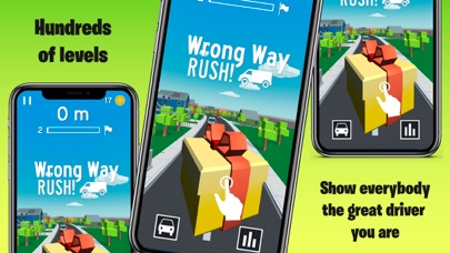 Wrong Way RUSH! screenshot 3
