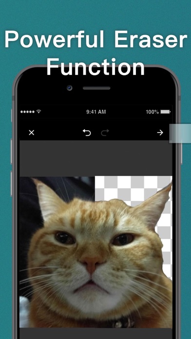 WSTicK screenshot 4