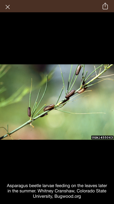 Wyoming Crop Pests screenshot 1