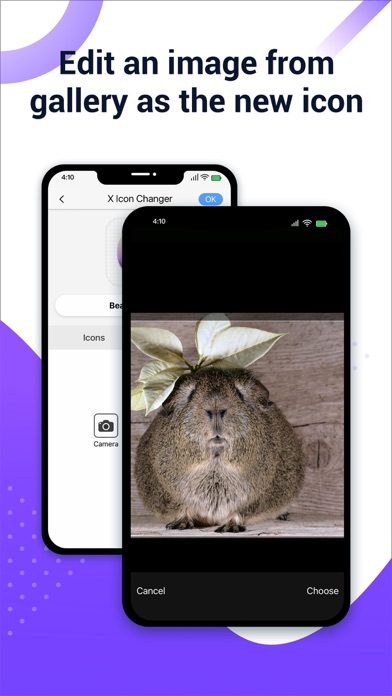 X Icon Changer: Customize Icon screenshot 3