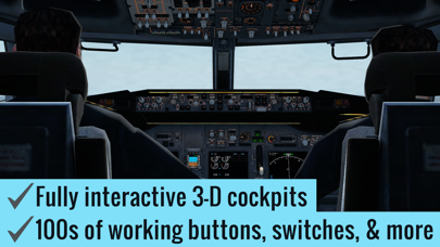 X-Plane Flight Simulator screenshot 2