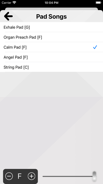 XME LOOPS screenshot 5