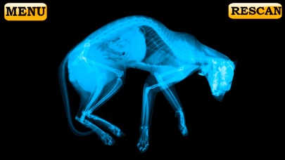 Xray Scanner Pet Cat Prank screenshot 2