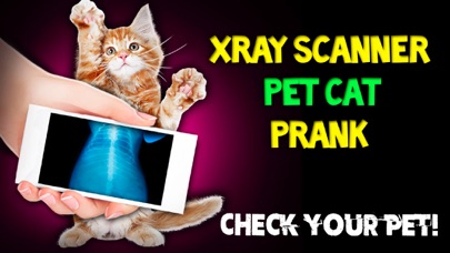 Xray Scanner Pet Cat Prank screenshot 1