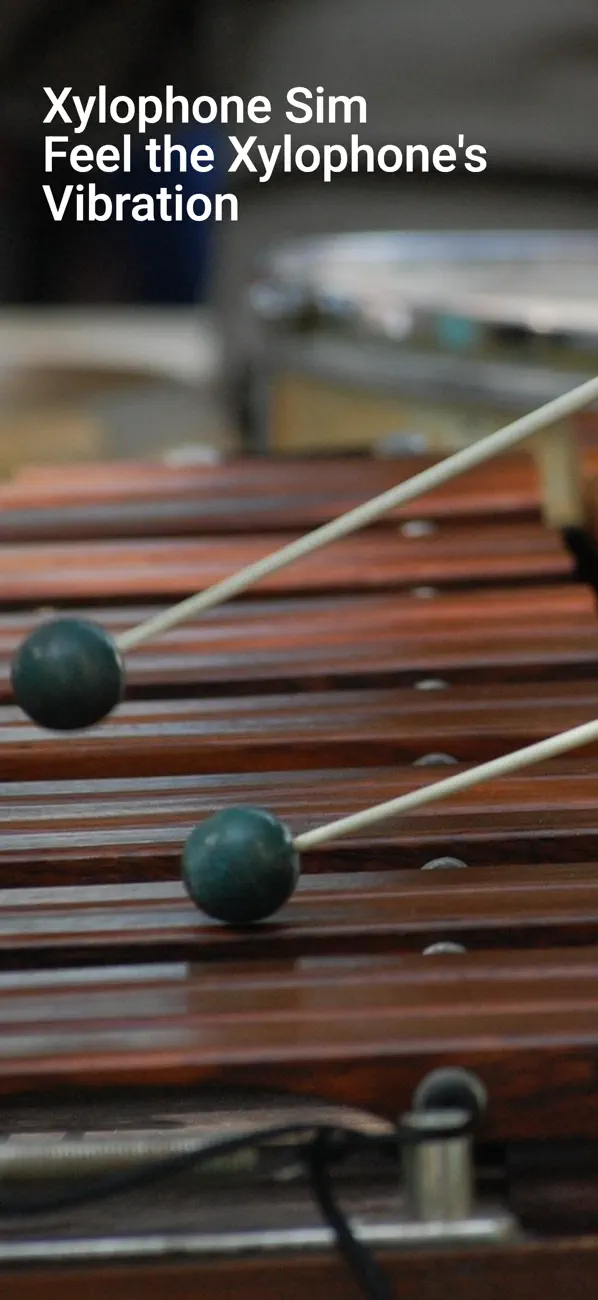 Xylophone Sim screenshot 6