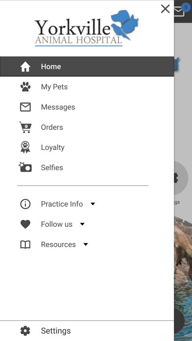 YAHPets screenshot 1
