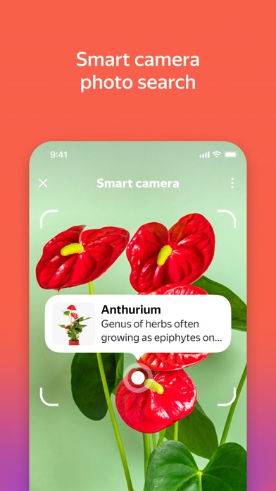 Yandex with Alice AI screenshot 4