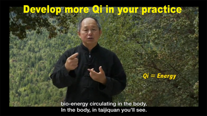 Yang Tai Chi for Beginners 1 screenshot 1